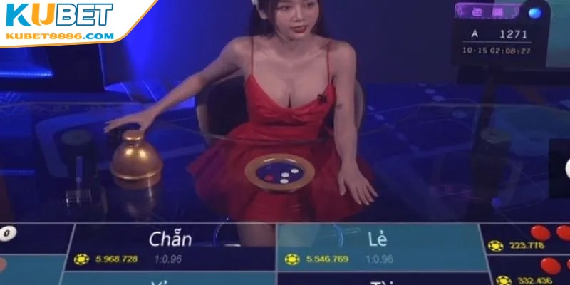 Bạn hãy áp dụng và chọn cửa xóc đĩa có thể về